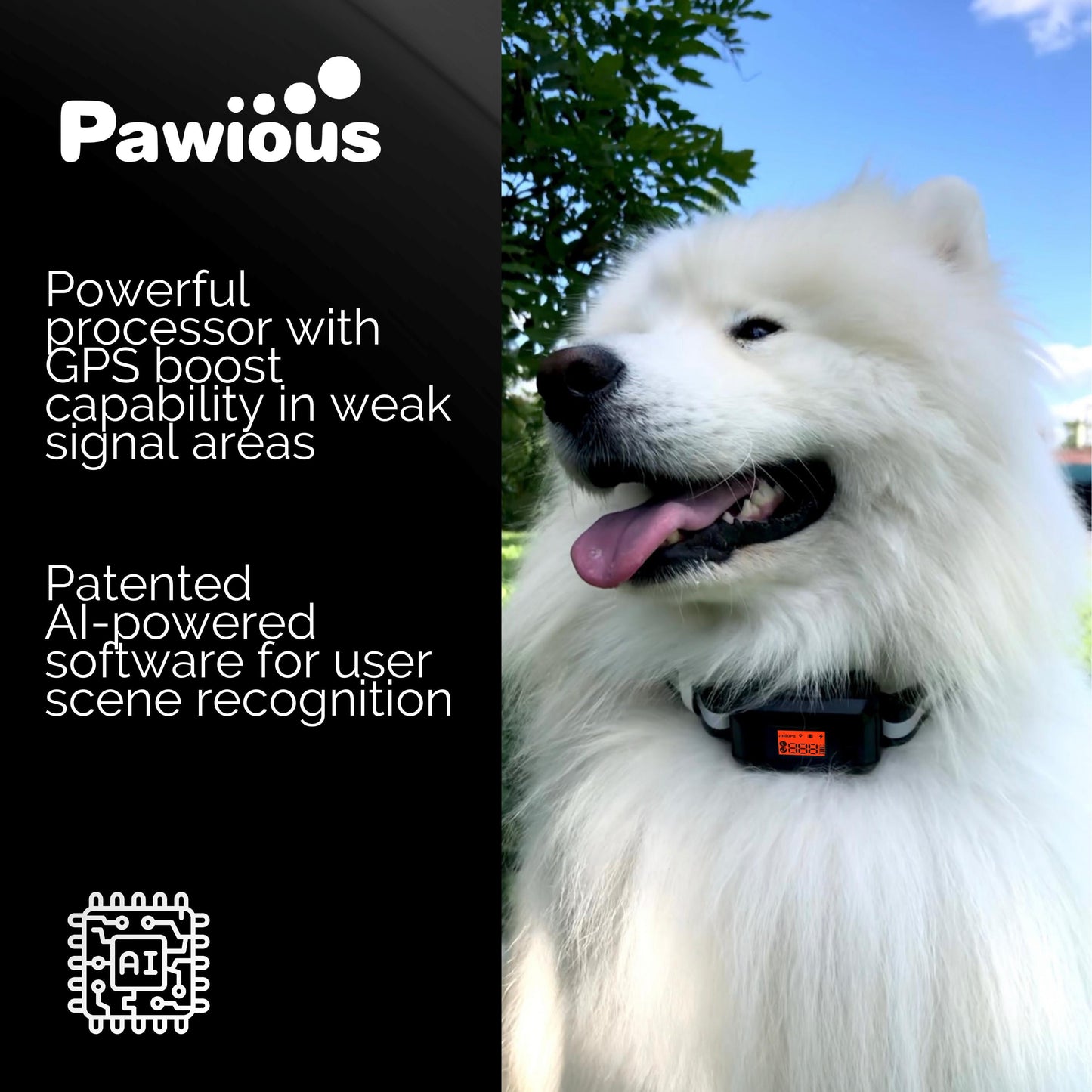 Elevate Your Outdoor Adventures with the Ultimate GPS Dog Fence F810+! 🐶✨ Featuring GPS Signal Boost & AI Scene Recognition for Unmatched Safety and Freedom!