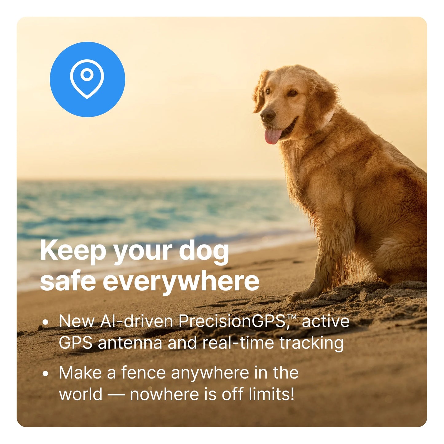 Ensure Your Dog's Safety with the Advanced Halo Collar 3 - The Premier GPS Dog Fence and Training Solution