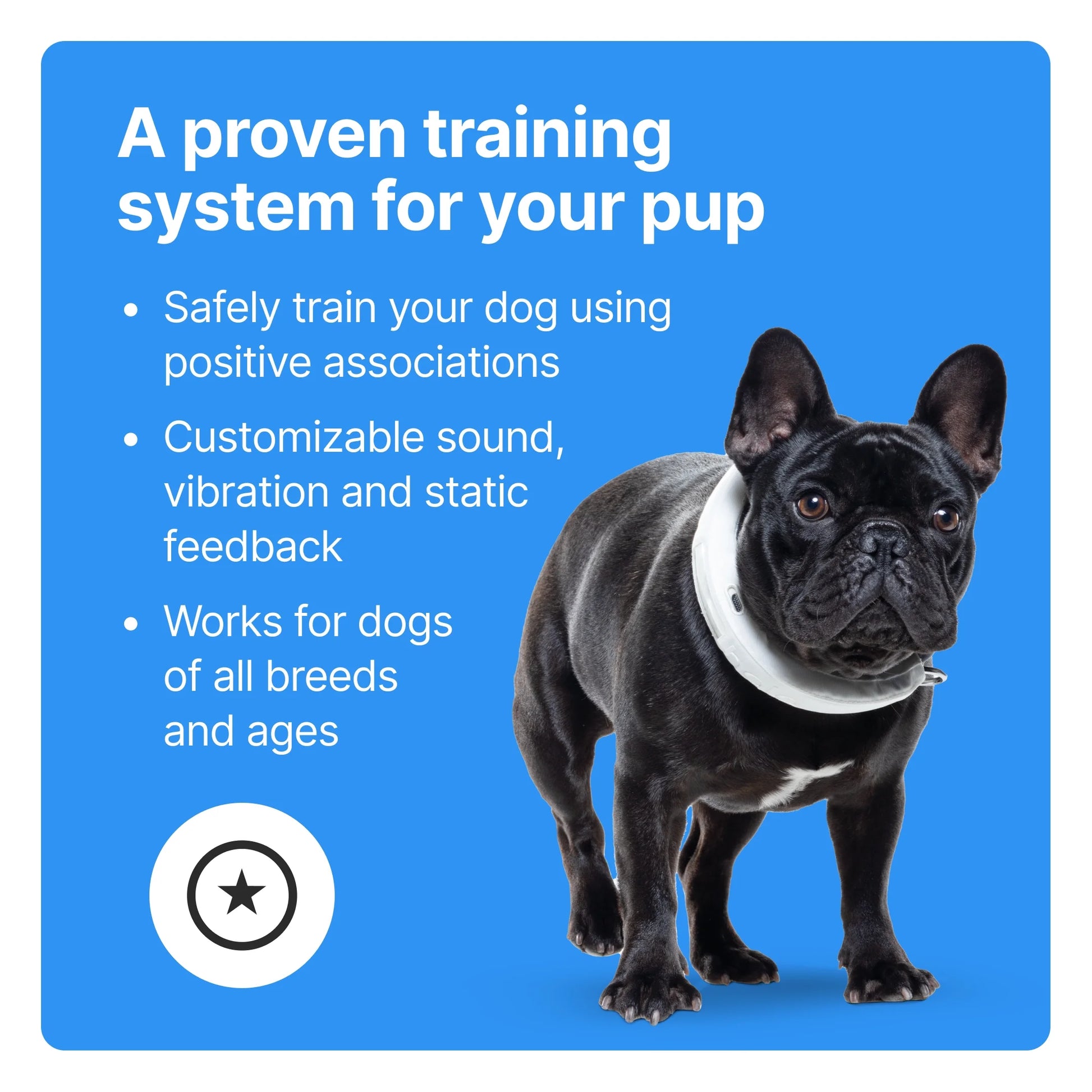 Ensure Your Dog's Safety with the Advanced Halo Collar 3 - The Premier GPS Dog Fence and Training Solution