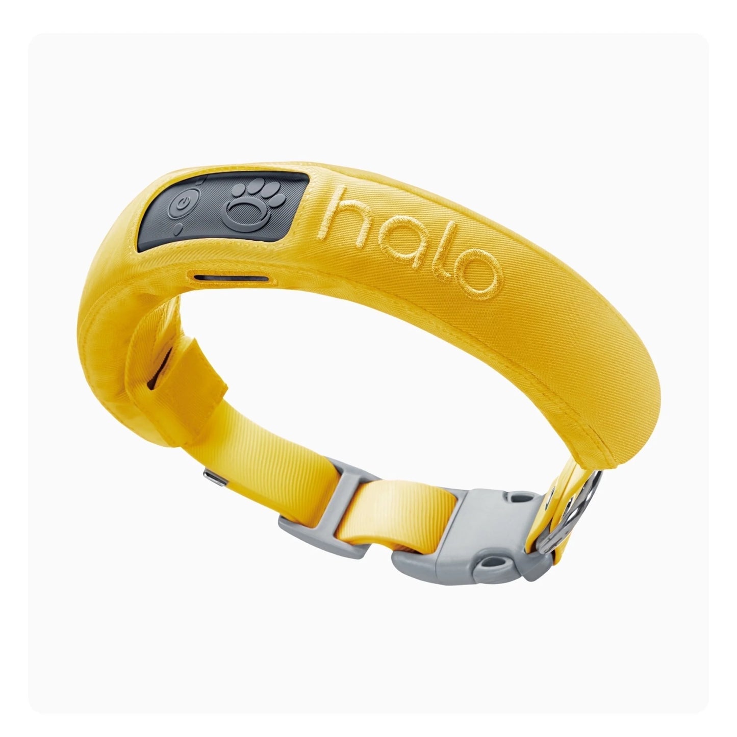 Ensure Your Dog's Safety with the Advanced Halo Collar 3 - The Premier GPS Dog Fence and Training Solution